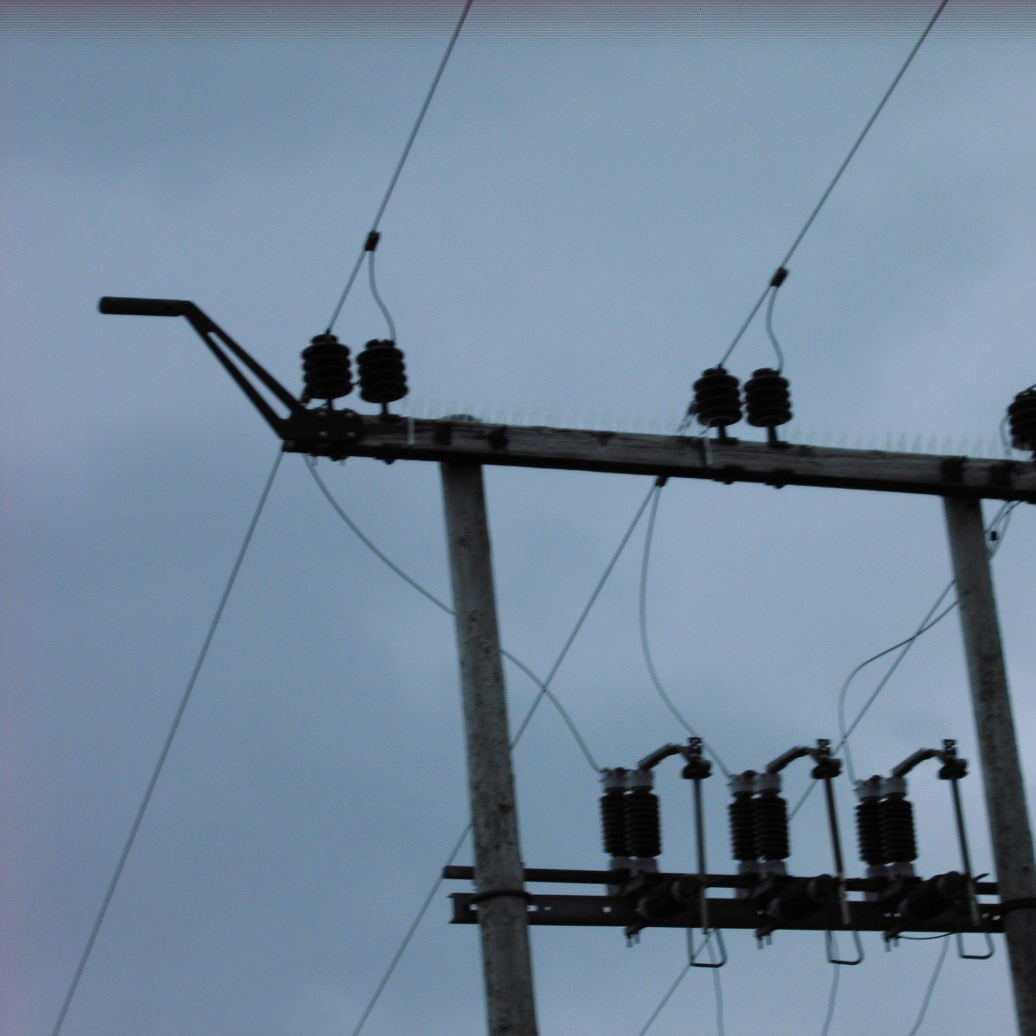 Bonn Convention - CEDREN side event: mitigating birds electrocution